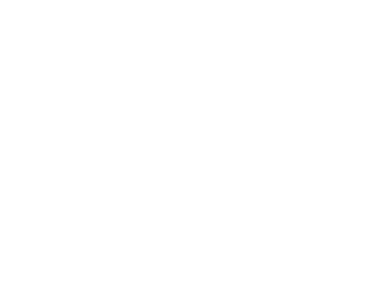 Trampoline Park You Jump